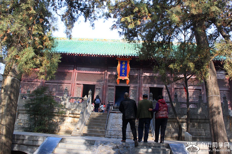 IMG_7584_.jpg