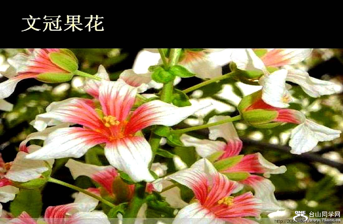 IMG_0447.JPG