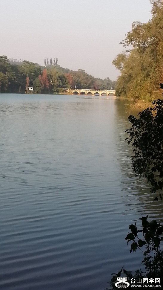 20151166324525818.jpg