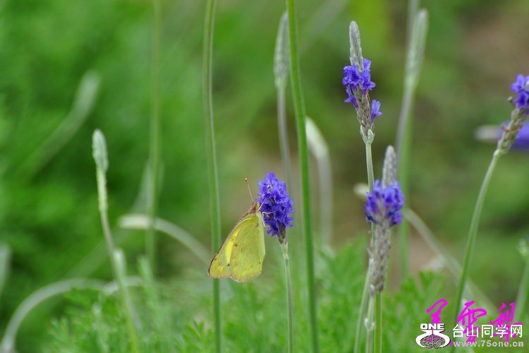 DSC_0108_conew1.jpg