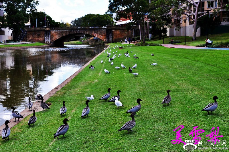 DSC_0234_conew1.jpg
