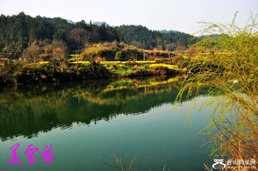DSC_0272_conew1.jpg