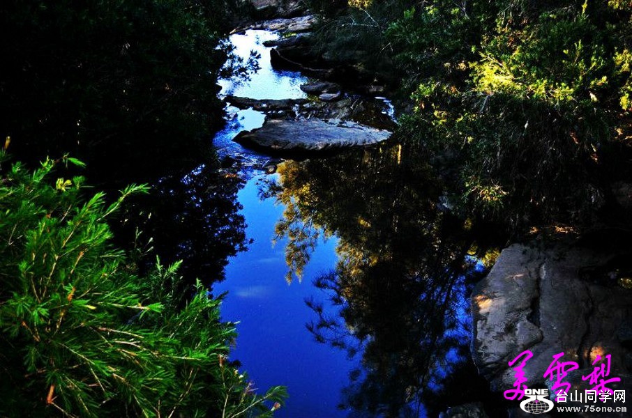 DSC_1160_conew1.jpg