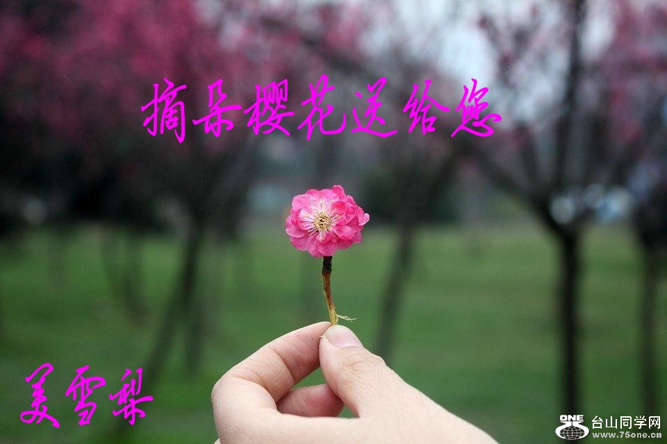 0DSC_2921conew1.jpg