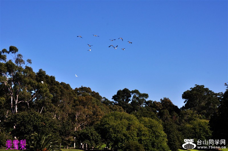 DSC_1190.jpg