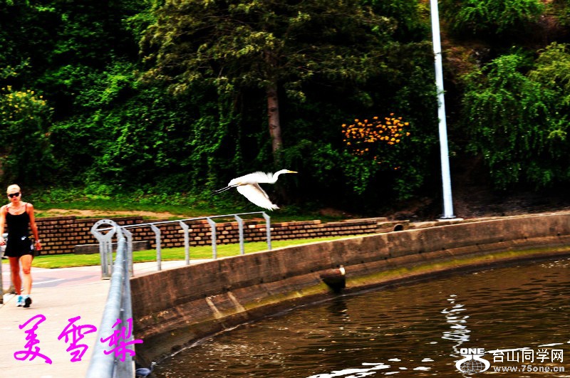 DSC_0247_conew1.jpg