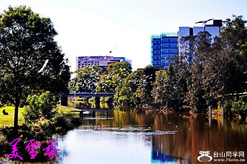 DSC_0292_conew1.jpg