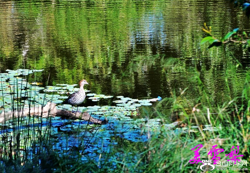 DSC_0310_conew1.jpg