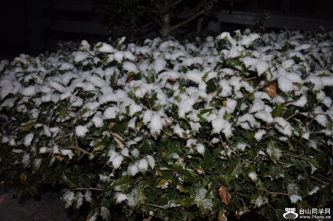 DSC_0363.JPG