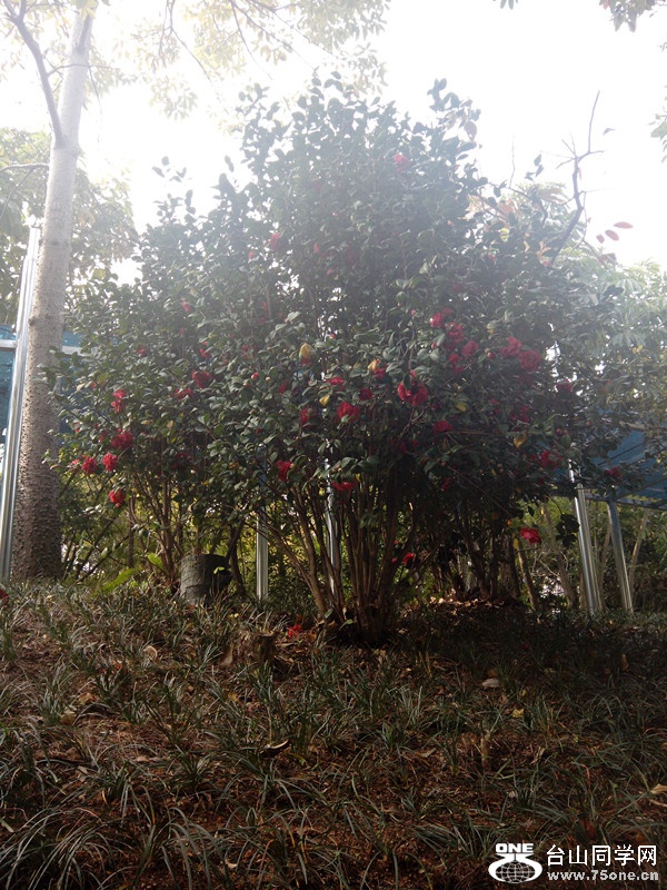 IMG_20150130_101444_副本.jpg
