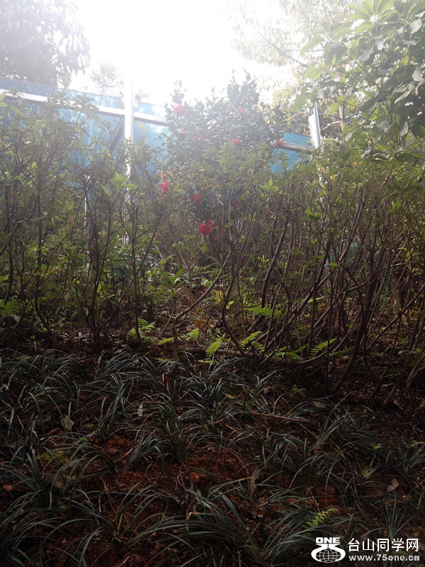 IMG_20150130_101406_副本.jpg