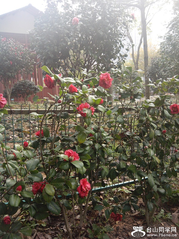 IMG_20150130_102020_副本.jpg