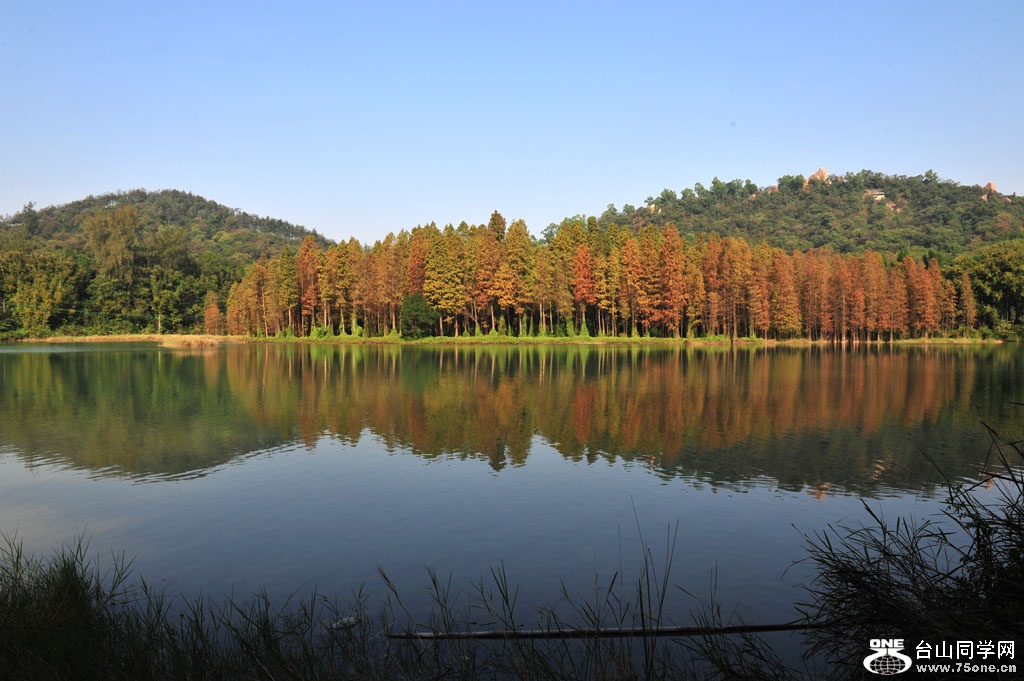 DSC_7642.JPG