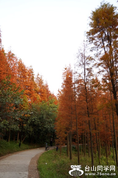 DSC01009С.jpg