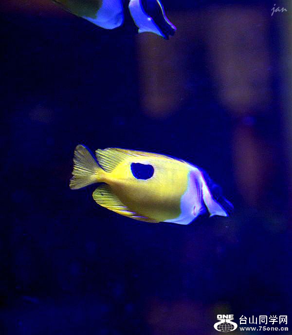 IMG_9530.JPG