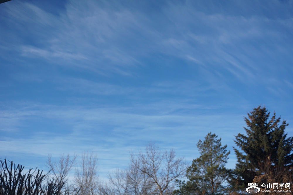 DSC01474.jpg