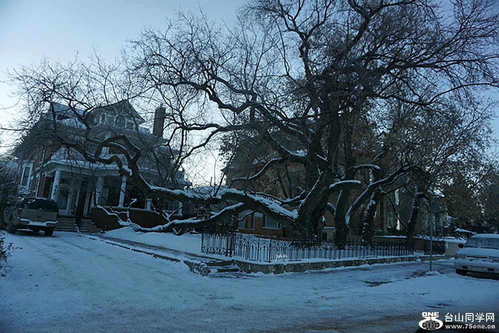 DSC01320=.jpg