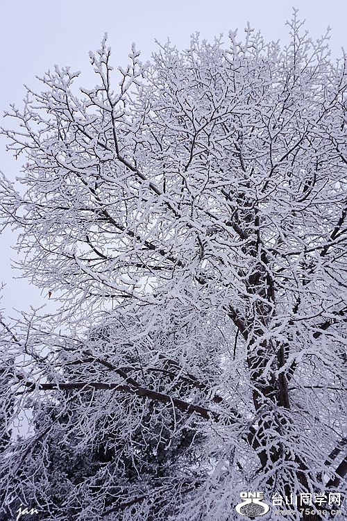 DSC00015=.jpg