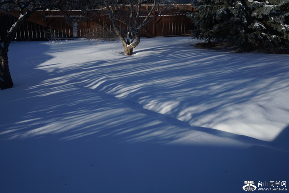 DSC01458.jpg