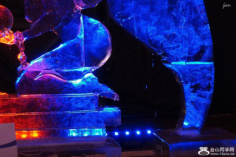 DSC01620=.jpg