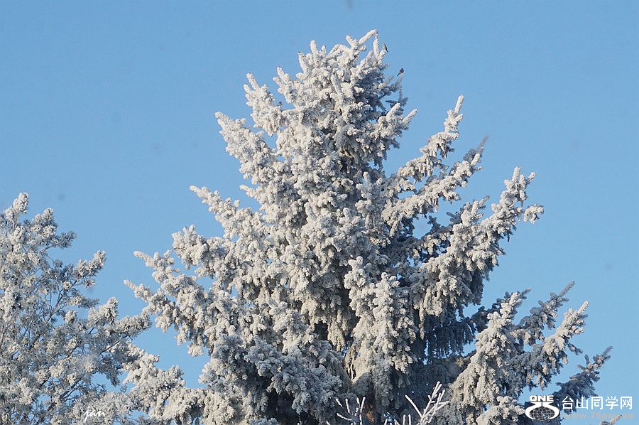 DSC00315=.jpg