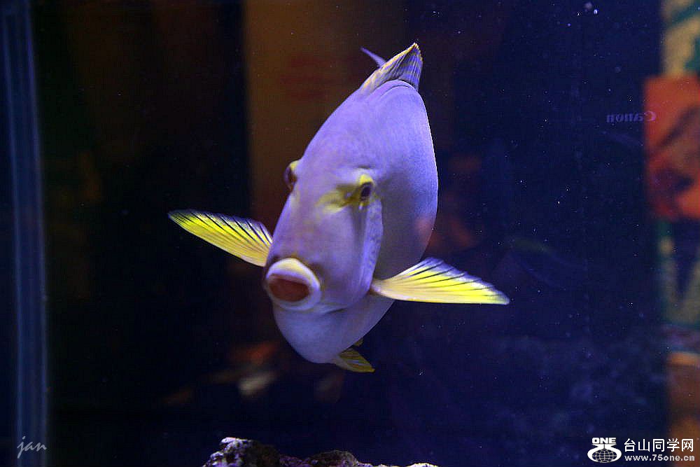 IMG_9502=_.jpg