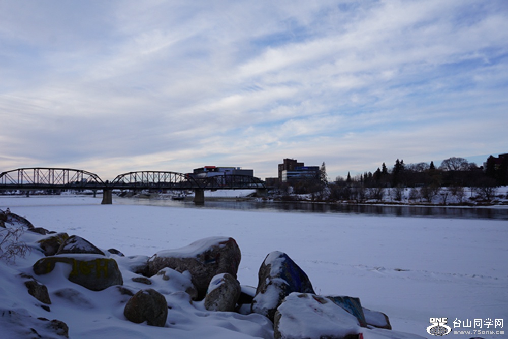 DSC01495.jpg