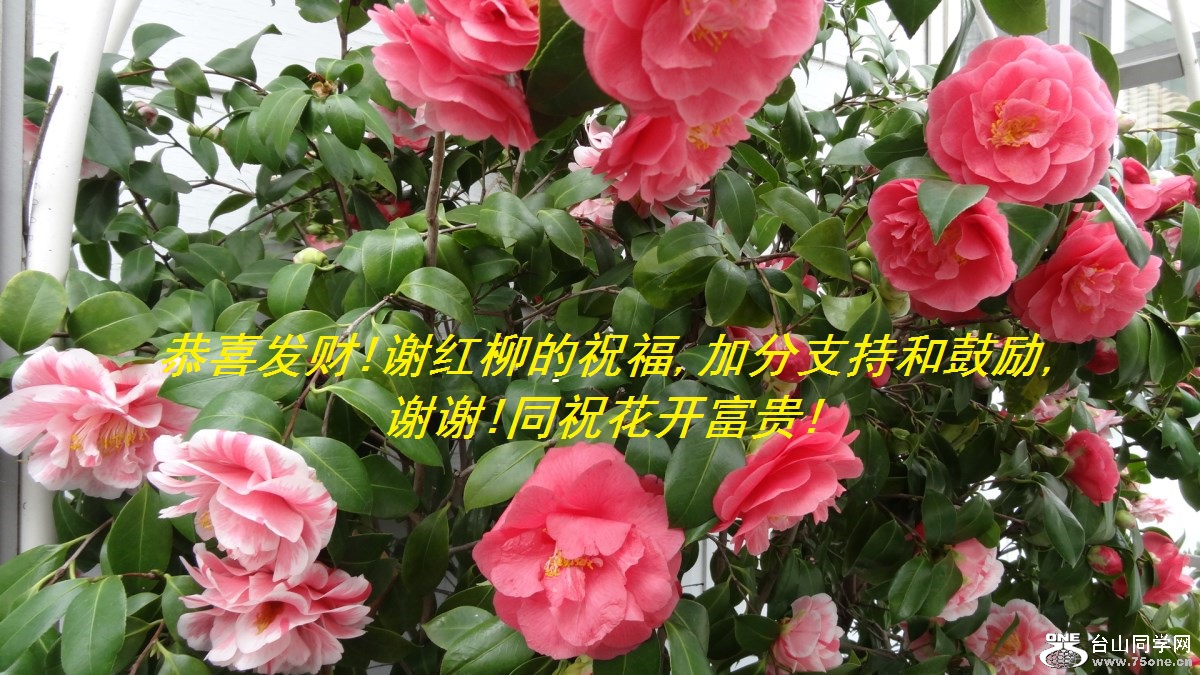 ϲ!лף,ӷֺ֧͹,лл!ͬף!.jpg