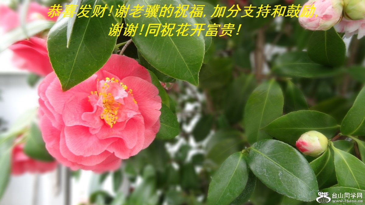 ϲ!лף,ӷֺ֧͹,лл!ͬף!.jpg