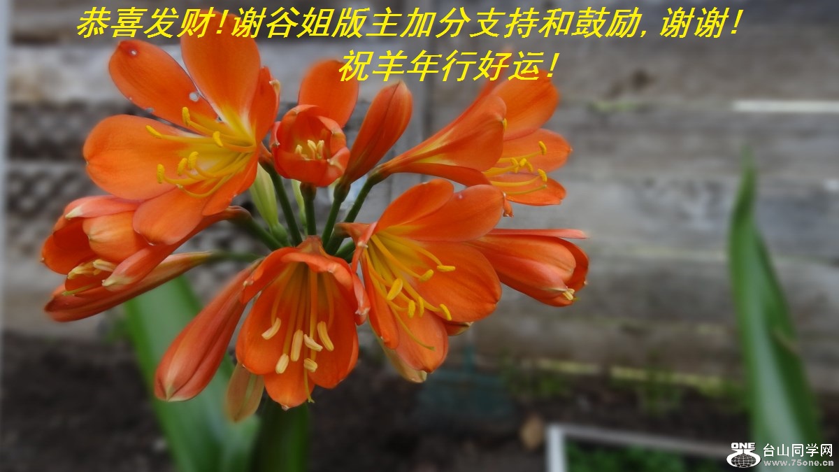 ϲ!лȽӷֺ֧͹,лл!ףк!.jpg