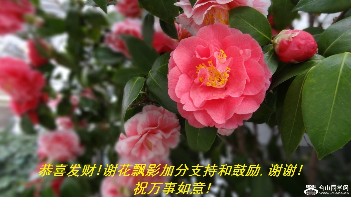 ϲ!лƮӰӷֺ֧͹,лл!ף!.jpg