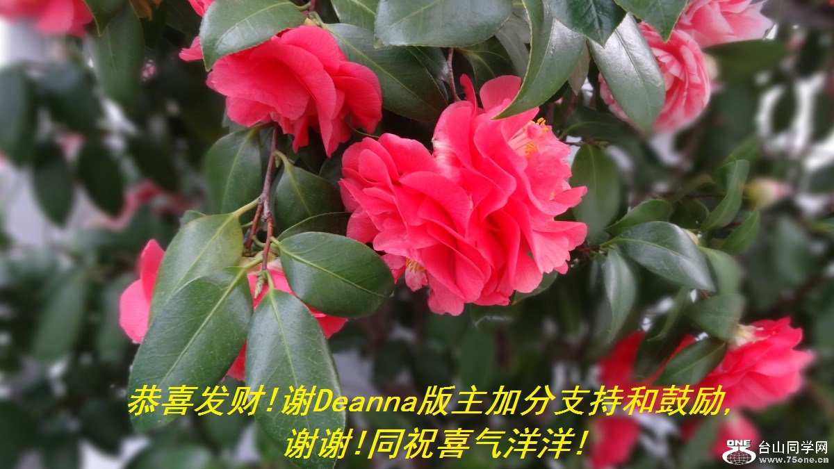 ϲ!лDeannaӷֺ֧͹,лл!ͬףϲ!.jpg