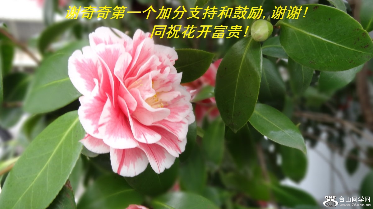 лһӷֺ֧͹,лл!ͬף!.jpg