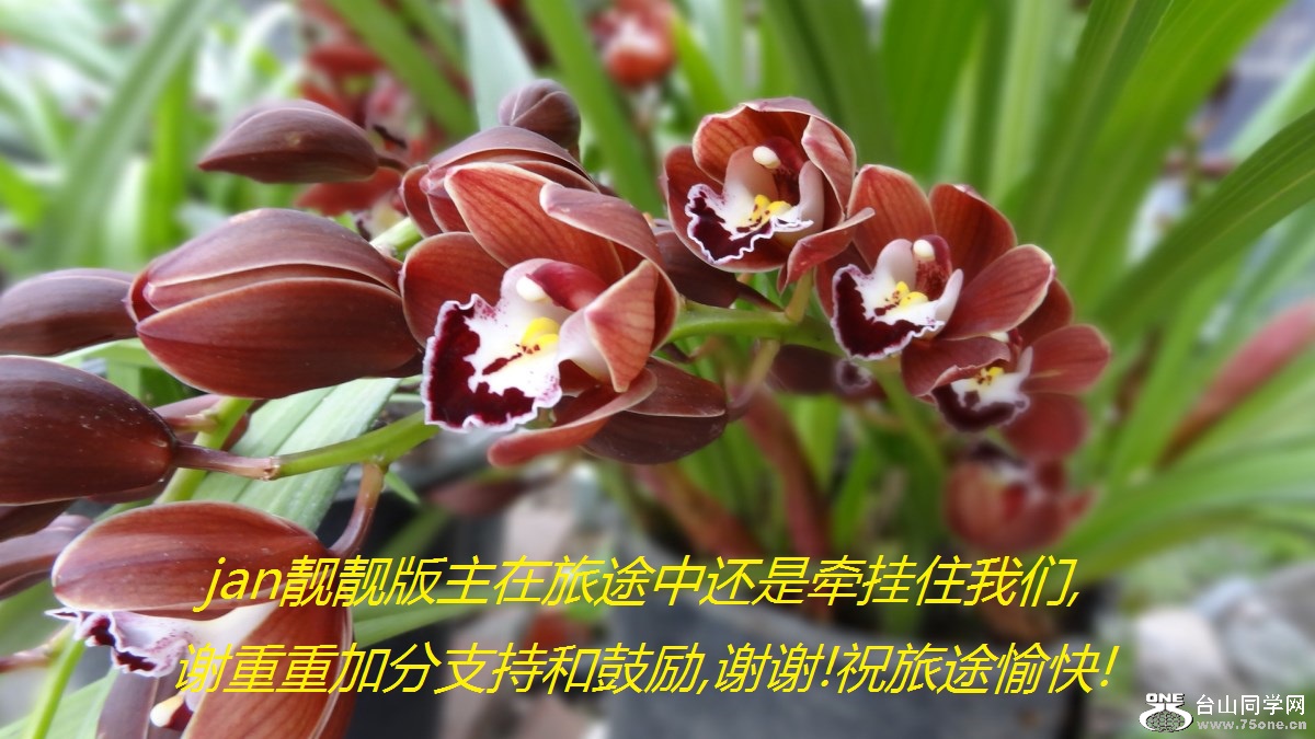 jan靓靓版主在旅途中还是牵挂住我们,谢重重加分支持和鼓励,谢谢!祝旅途愉快!.jpg