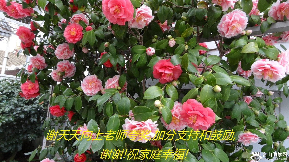 лʦ佱,ӷֺ֧͹,лл!ףͥҸ!.jpg