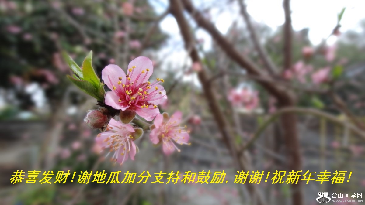 ϲ!лعϼӷֺ֧͹,лл!ףҸ!.jpg