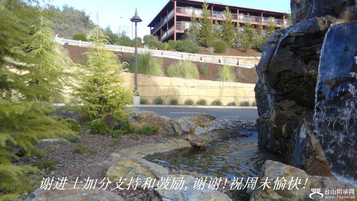 谢进士加分支持和鼓励,谢谢!祝周末愉快!.jpg