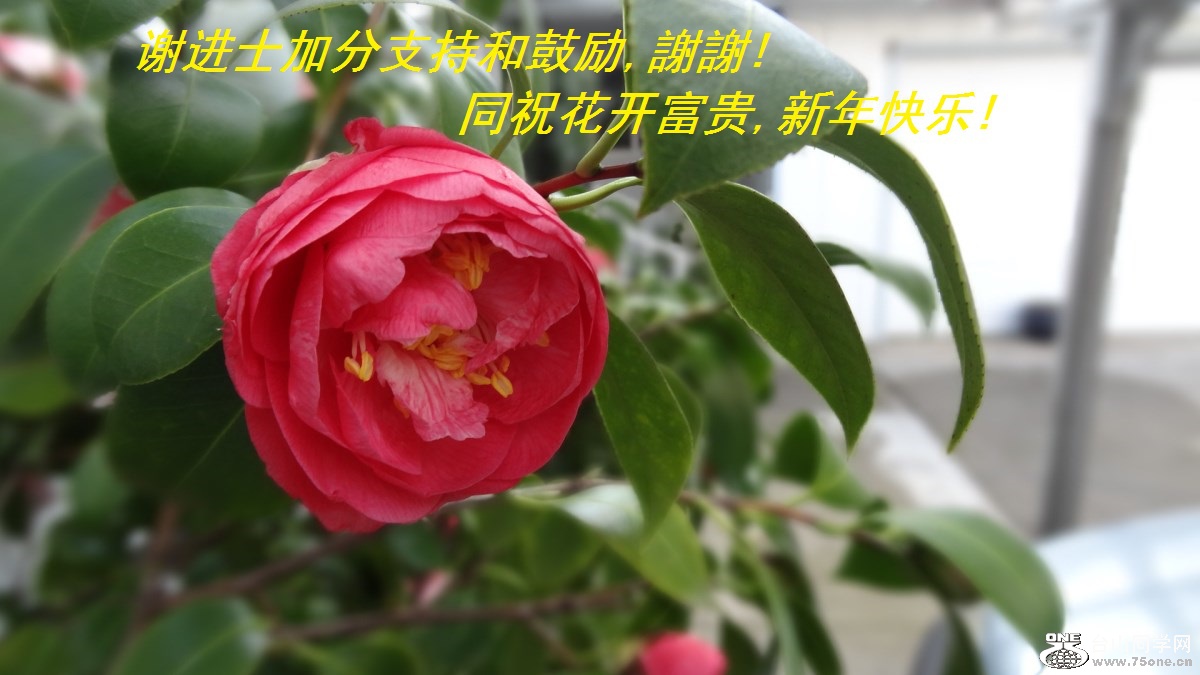 лʿӷֺ֧͹,xx!ͬף,!.jpg
