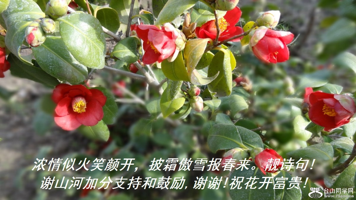 ŨƻЦտ˪ѩʫ!лɽӼӷֺ֧͹,лл!ף!.jpg