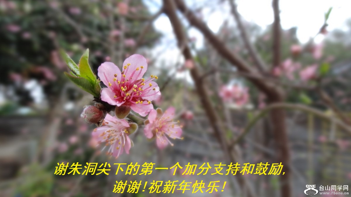 谢朱洞尖下的第一个加分支持和鼓励,谢谢!祝新年快乐!.jpg