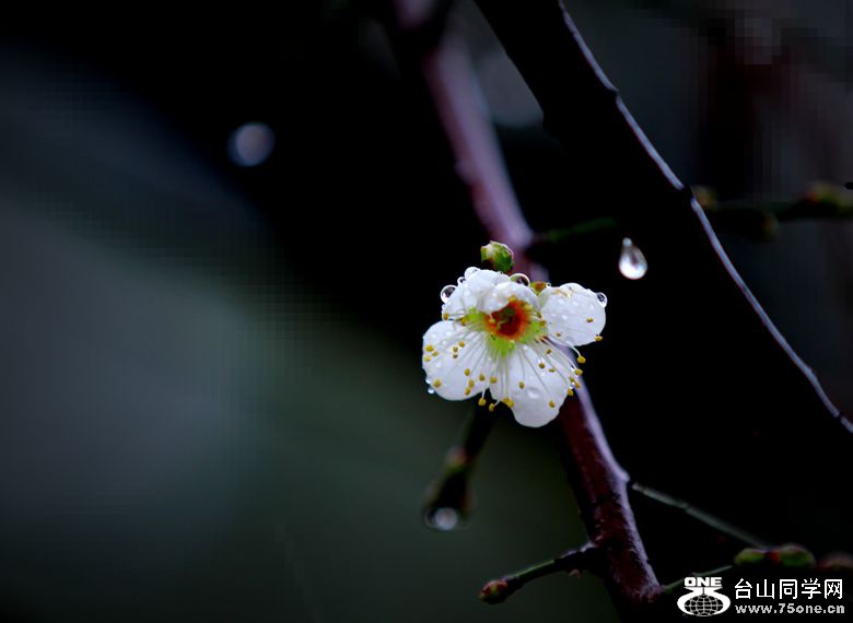 IMG_7441_.jpg