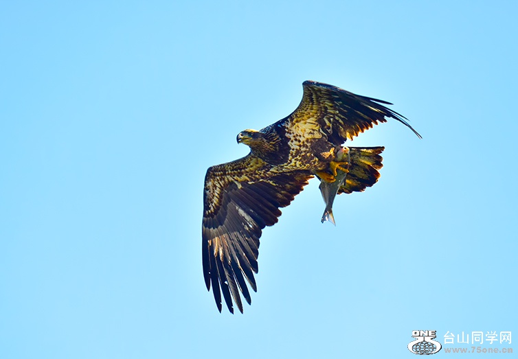DSC_0568c.jpg