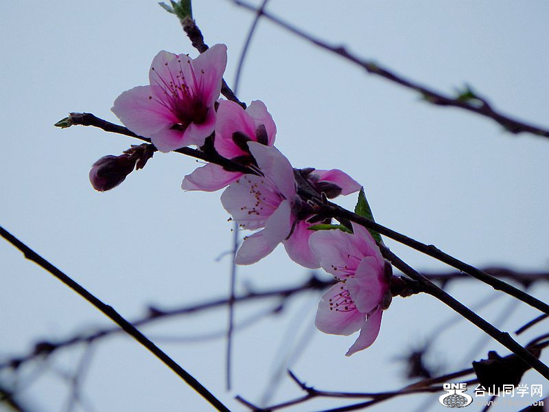 DSCF1546.JPG