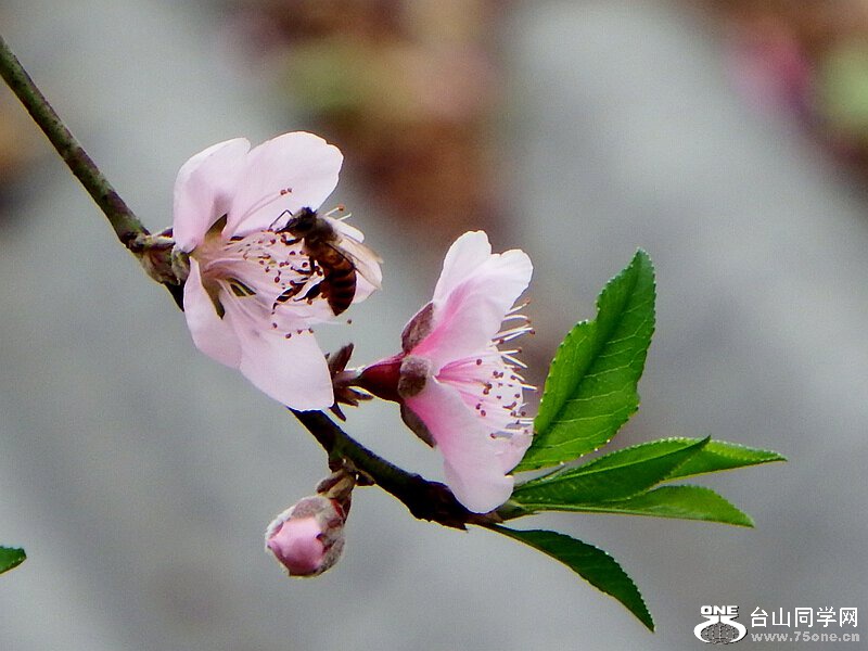 DSCF1573.jpg