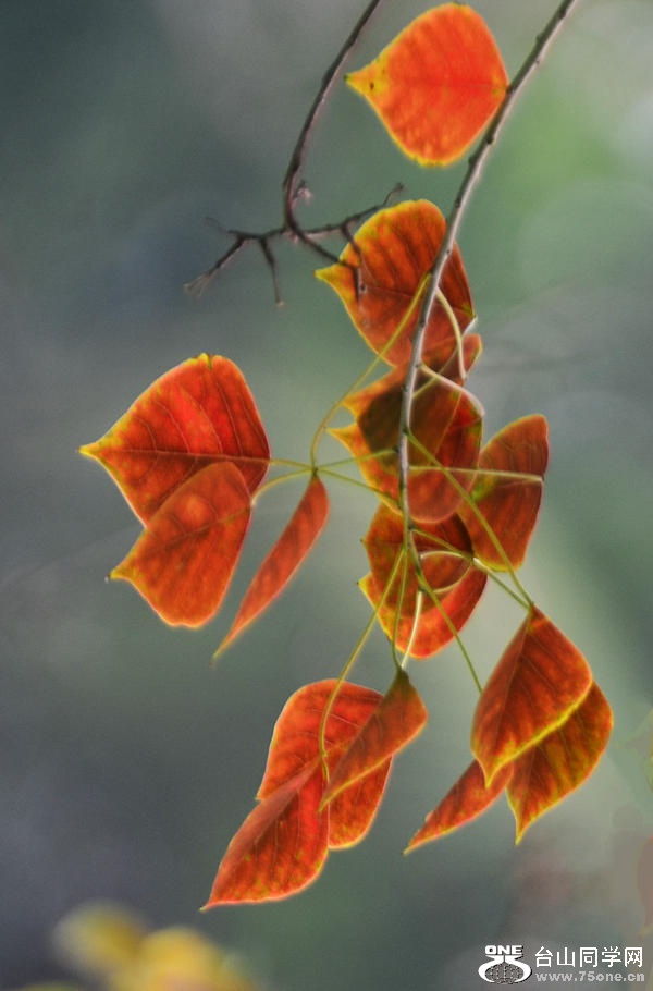 Ƭ 048.jpg
