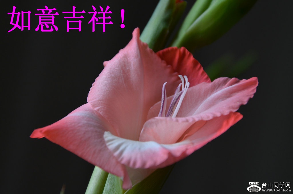 DSC_1227.jpg