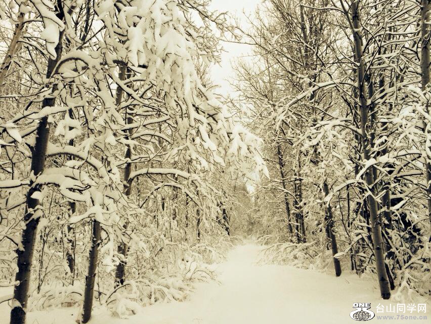 snow view.jpg