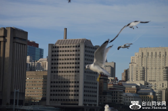 DSC_0902.jpg