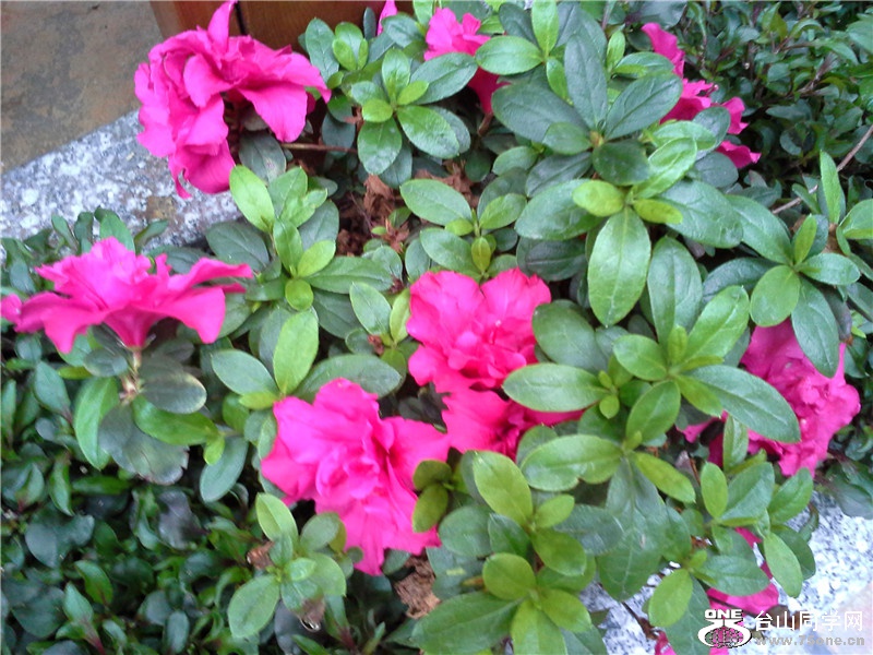 20150207_174905.jpg