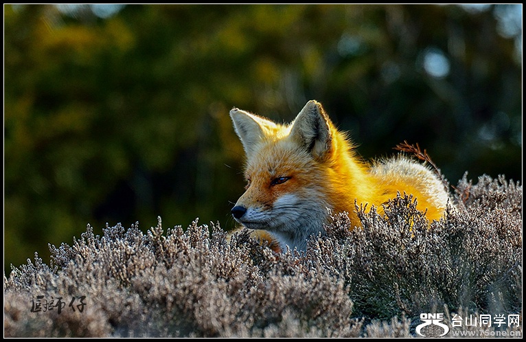 DSC_1763.jpg